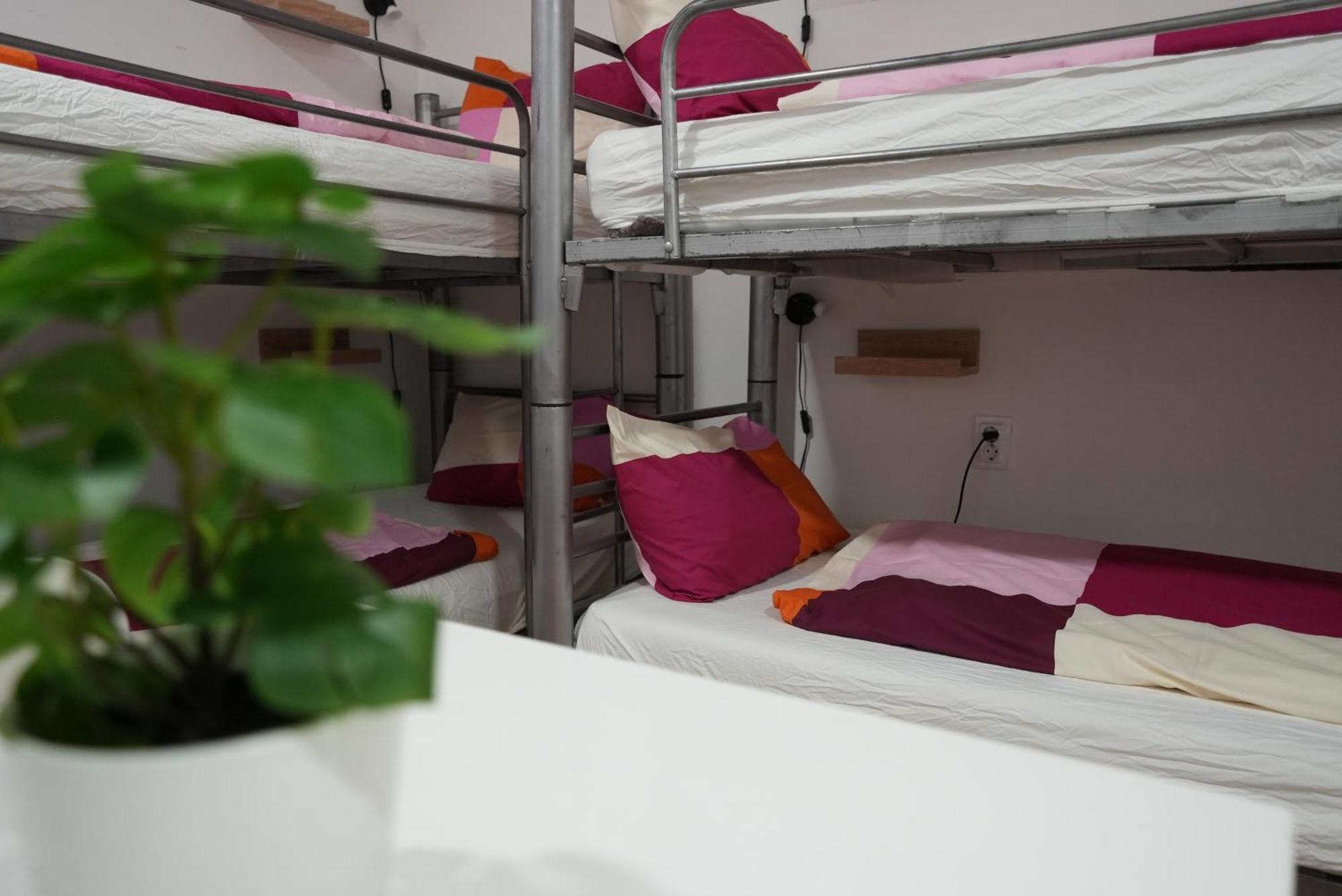 Center Hostel And Guest House بودابست المظهر الخارجي الصورة